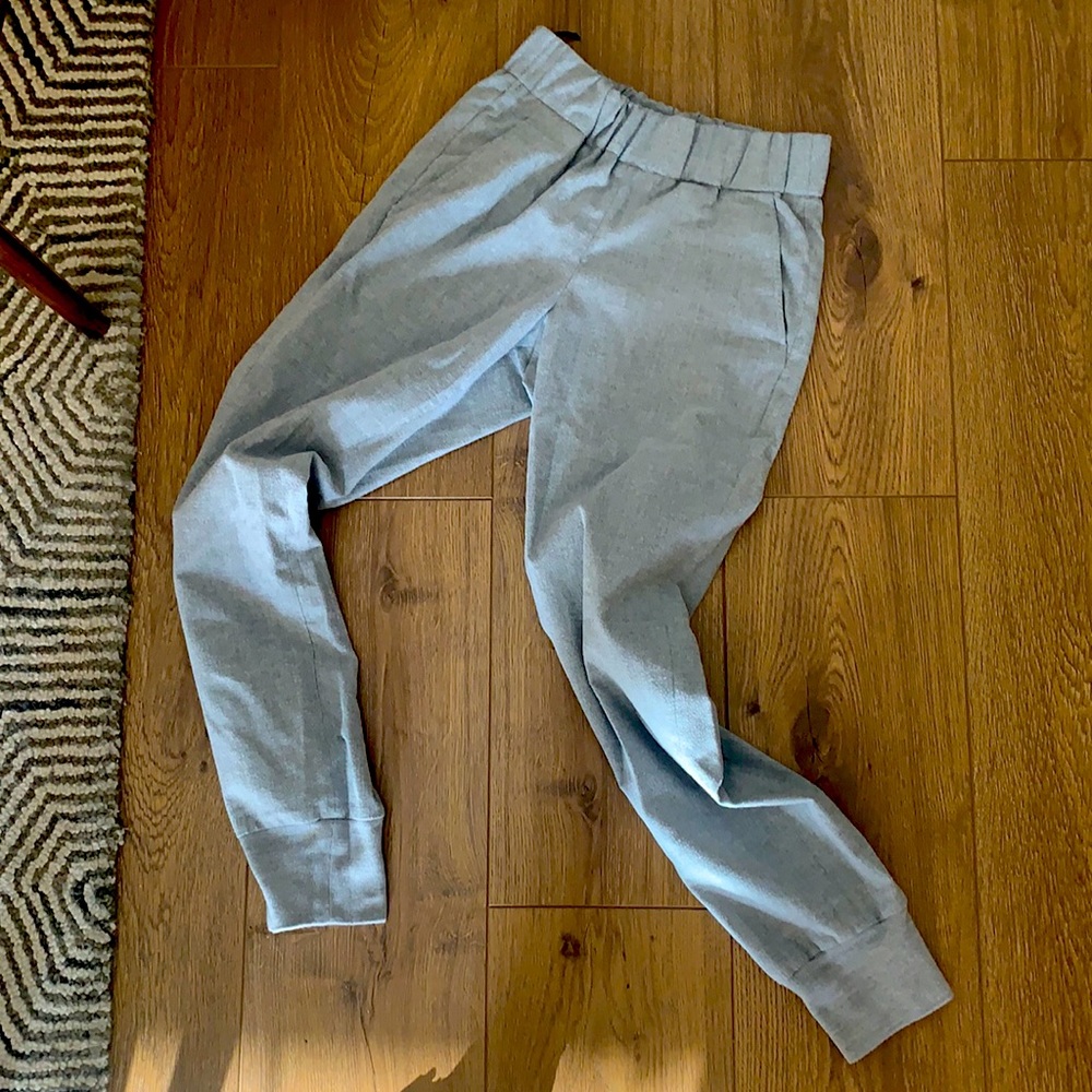 Dexter pants in grey (aritzia)